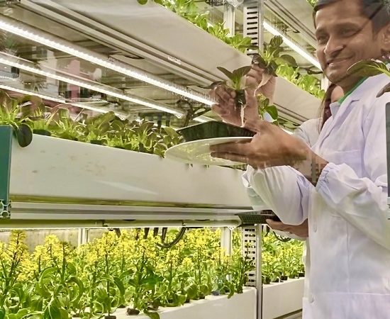 Newport World Resorts Unveils 1st Urban Farm
